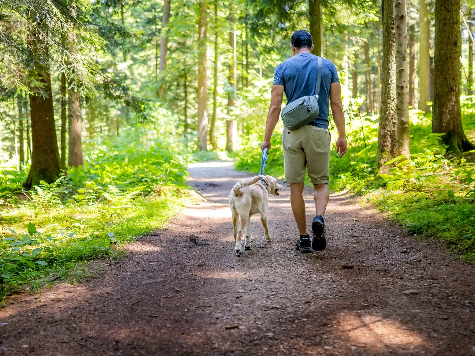 Wandelen Resolve